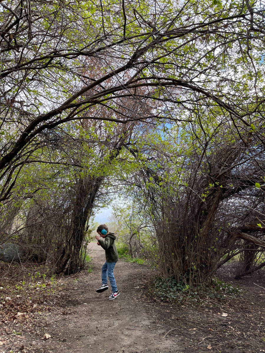 🌳 Happy National #LoveATreeDay! 🌳

Whether you hug, hang, climb, or dance in the trees today, we want to get planting! 

For every RT (up to 3000 RTs), we will plant a tree as part of our #FormstackForests program in partnership with <a href="/onetreeplanted/">One Tree Planted</a>. 

Hurry, retweet this! 👇