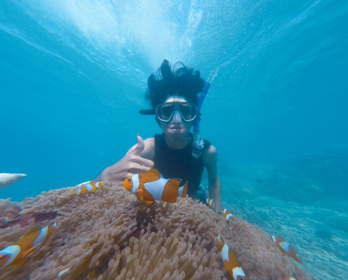 Find nemo in Playa del Carmen. 🌊 #justkeepswimming Discover the best snorkel tours to do here: bit.ly/391FwEp  

Foto de Bagus Tri Kuncoro .J