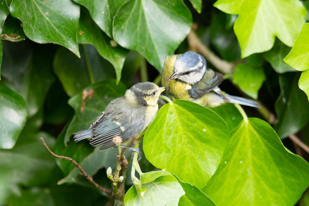 Simon Waters tweet media