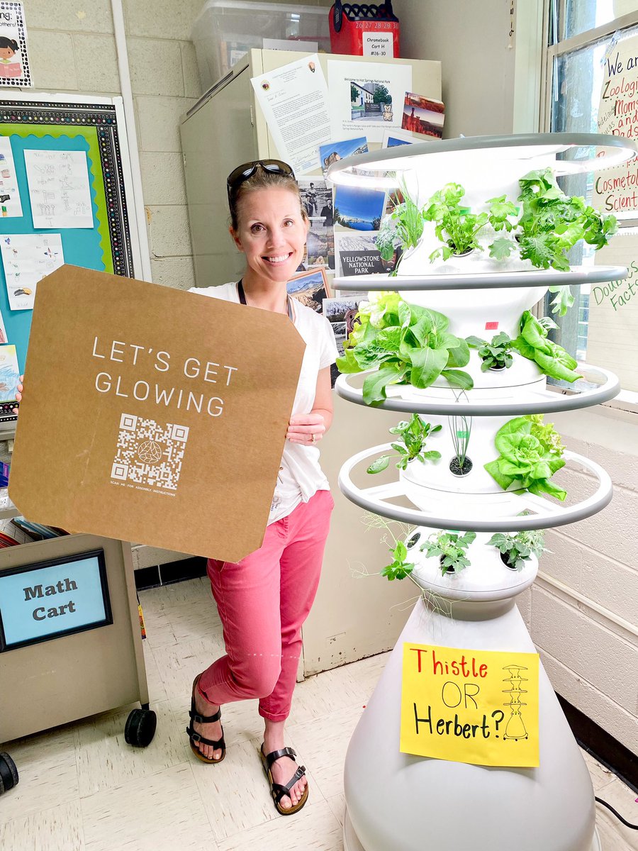 CaseNPoynt's tweet photo. After 4 weeks of growing in our LettuceGrow Farmstand, it is harvest day! We can’t wait to try different salads tomorrow and sautéed bok choy on Wednesday. #ncts09 #ncssbethebest #LettuceGrow https://t.co/IiDdD49kn8