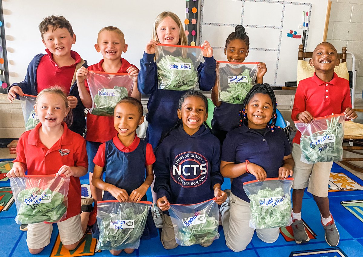 After 4 weeks of growing in our LettuceGrow Farmstand, it is harvest day! We can’t wait to try different salads tomorrow and sautéed bok choy on Wednesday. #ncts09 #ncssbethebest #LettuceGrow