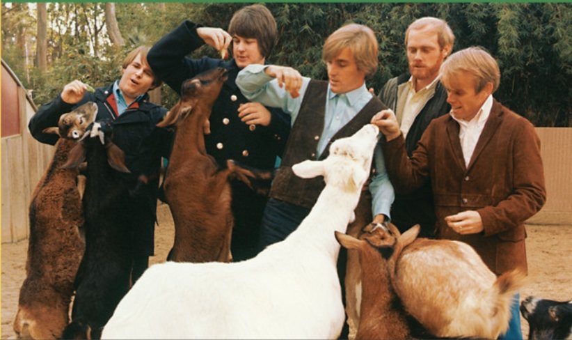 Happy Pet Sounds day! Here's my 4 track cassette cover of the whole classic album drive.google.com/drive/folders/…