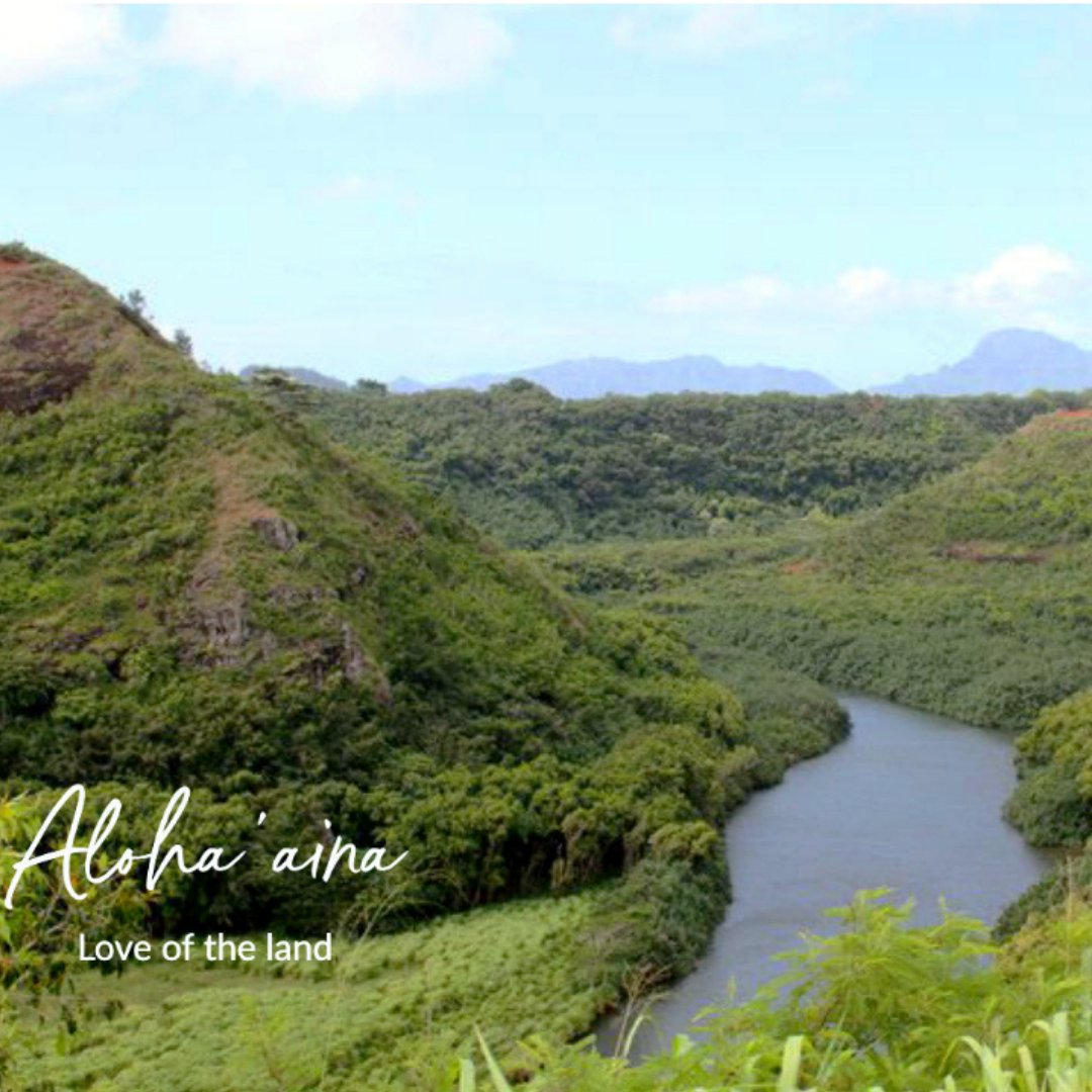 SheLivesAloha's tweet photo. Love for each other and when we show ‘aloha aina’ (pronounced: ah-loh-hah eye-nah) we are showing love for the land. #MindfulMonday https://t.co/xVh2FPo3Co