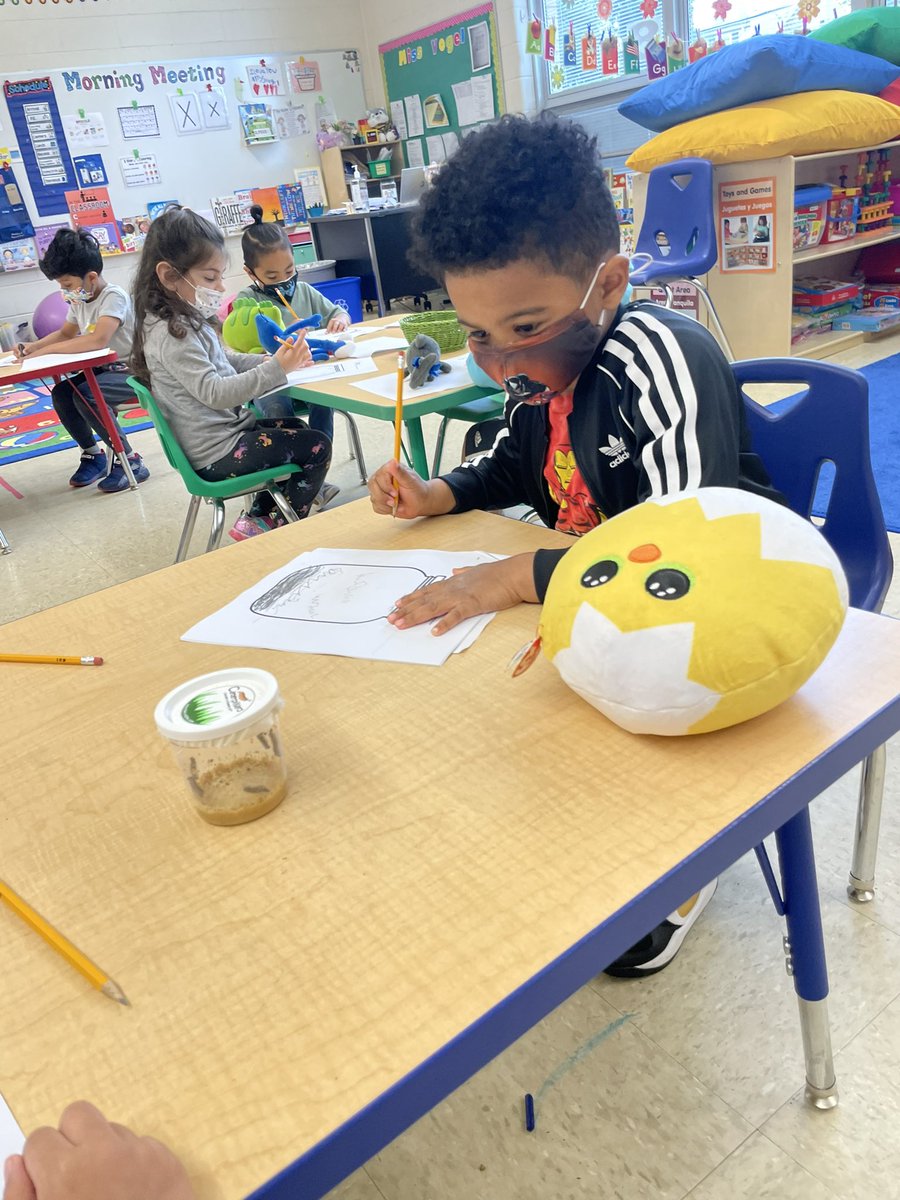 MissVatLP's tweet photo. Pre-K 2 got 7 new friends today! Our Insect Unit has just started and we are so excited to observe the life cycle of a butterfly in our classroom! We have an observation journal that we will be using to draw the changes we see every day!🐛🦋 #NTPreschoolProud #WhyLP #InsectUnit https://t.co/JhDzu3Hy4g