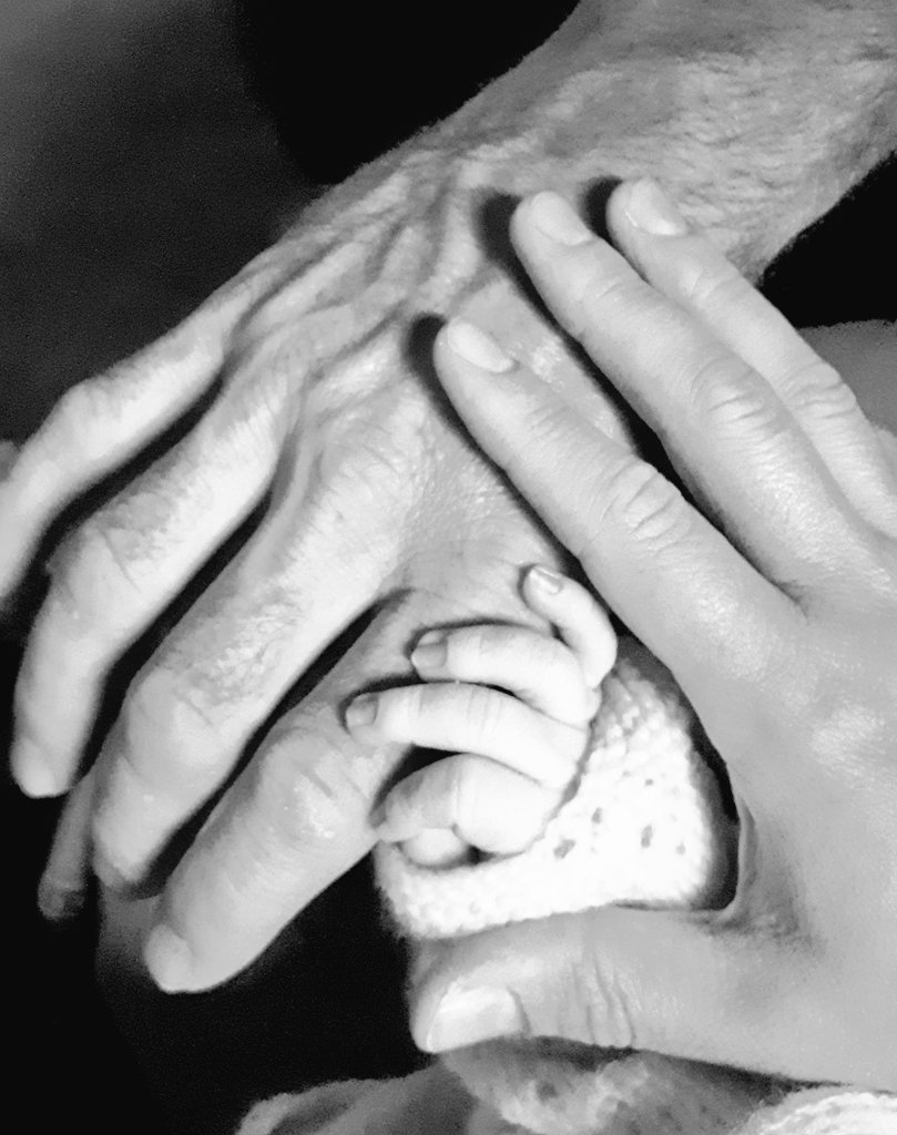 Ferme de Quéménès - Île d'Iroise tweet media