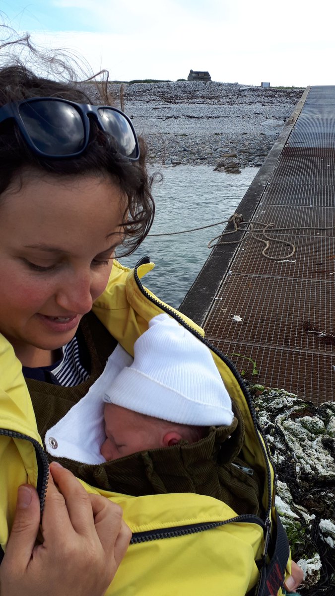 Ferme de Quéménès - Île d'Iroise tweet media