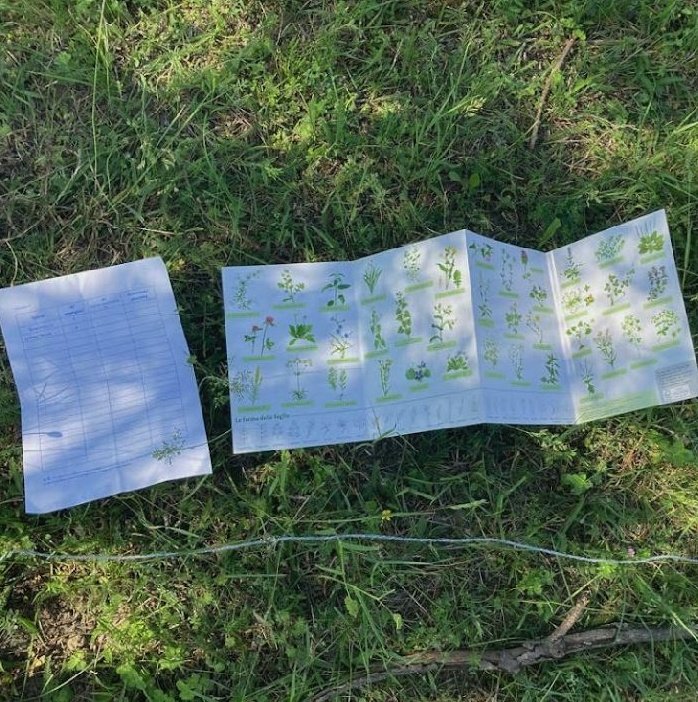 ortobotanicoBG's tweet photo. L'attività che abbiamo fatto venerdì 13 è stata pazzesca: siamo andati sulle rive del fiume Brembo per osservare la vastità di piante che ci abitano. Le curiosità sono state tante e per questo dobbiamo ringraziare l'esperta del progetto #BeePathNet e la nostra scuola @isiseinaudi https://t.co/CPE077BJtS