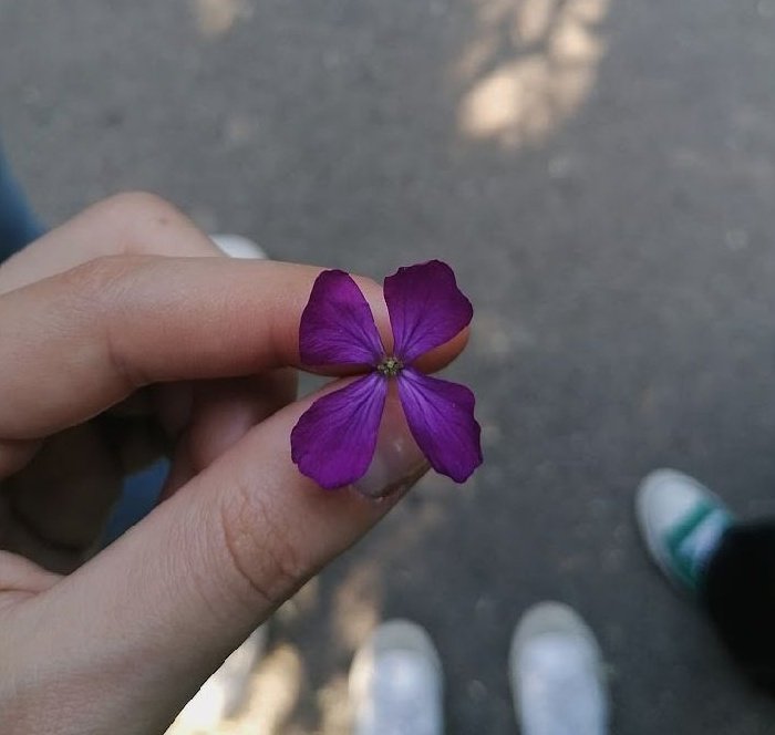 ortobotanicoBG's tweet photo. L'attività che abbiamo fatto venerdì 13 è stata pazzesca: siamo andati sulle rive del fiume Brembo per osservare la vastità di piante che ci abitano. Le curiosità sono state tante e per questo dobbiamo ringraziare l'esperta del progetto #BeePathNet e la nostra scuola @isiseinaudi https://t.co/CPE077BJtS