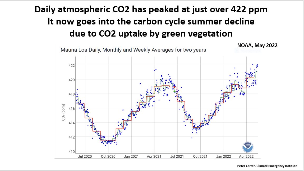 Peter D Carter tweet media