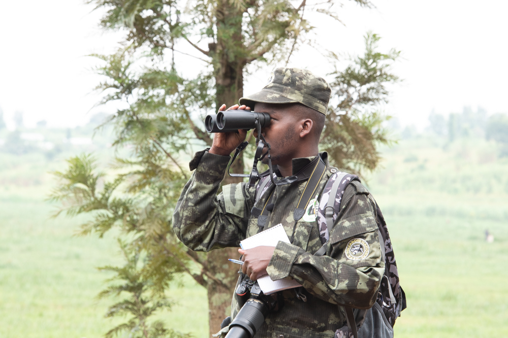 SavingGorillas's tweet photo. This past weekend, the Fossey Fund invited students to join other bird watchers across the world to celebrate Global Big Day, which is an annual celebration of the birds around us! 1/4 https://t.co/apYDQGZYz0