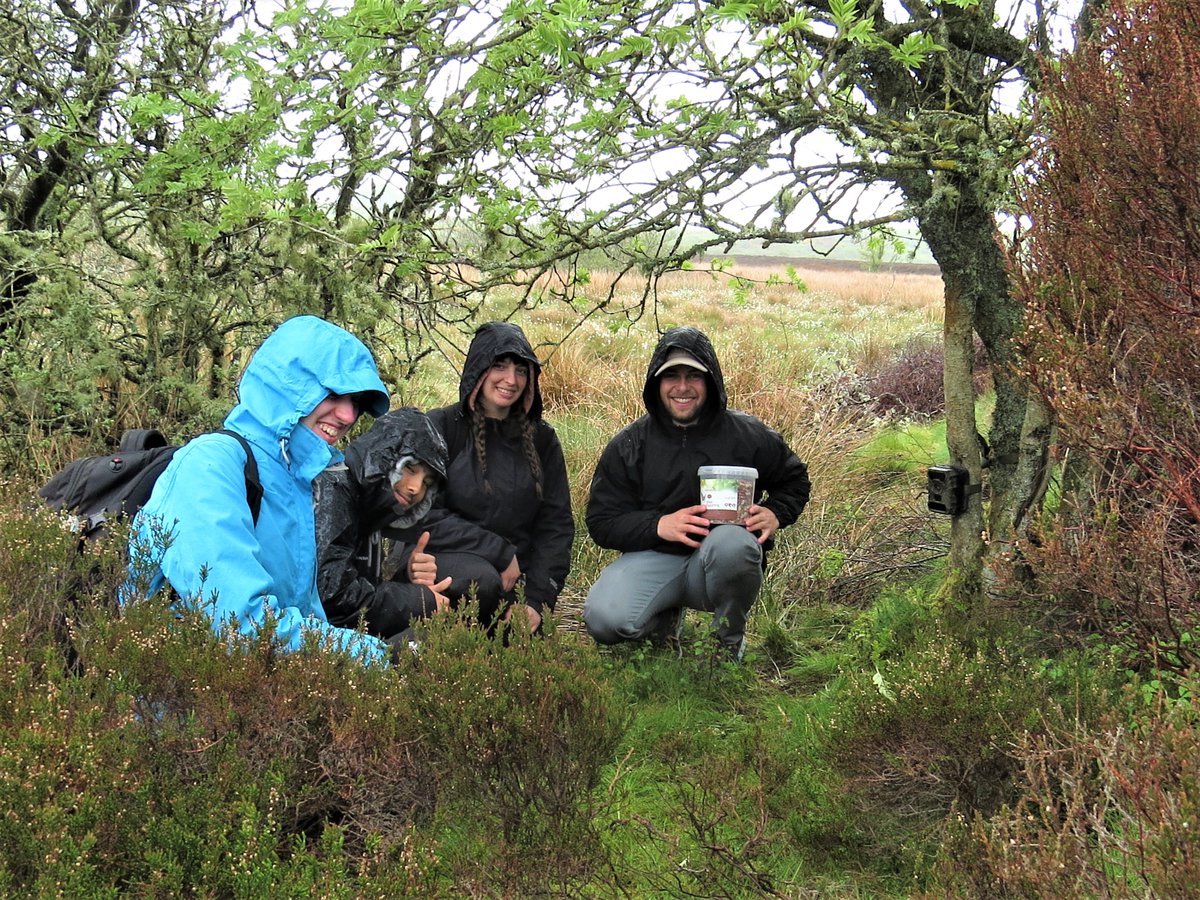 blackdogbirder's tweet photo. Enthusiasm not dampened by the rain today for @UoABioSci students. Great to be out on the bog with them at Red Moss of Netherley @ScotWildlife reserve, delivering camera trapping training. Looking forward to seeing the "captures" 🦊🦌🦡🐭🦦 https://t.co/SnpshfQV6Z