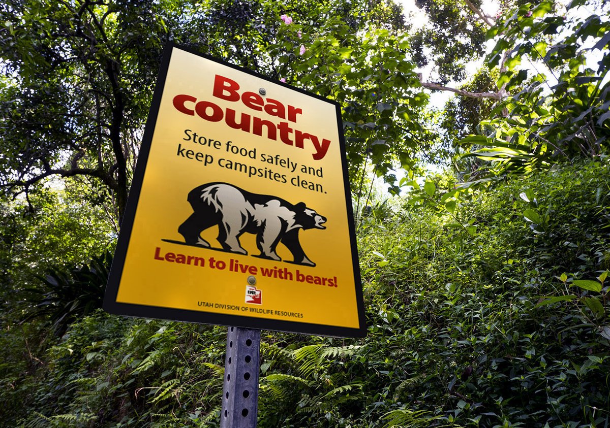 A forested area with a sign that says "Bear country" in big red letters.