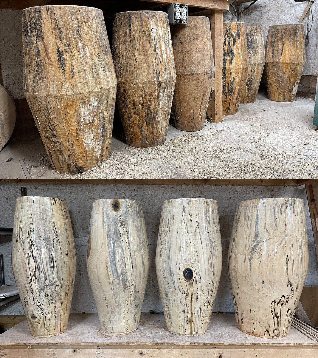 manitoperc's tweet photo. Here’s a before and after picture of some spalted poplar congas in progress. Logs are first inoculated with different fungi and allowed to gain their colors as the fungus spreads. #solidshell https://t.co/gz5AwQLaac