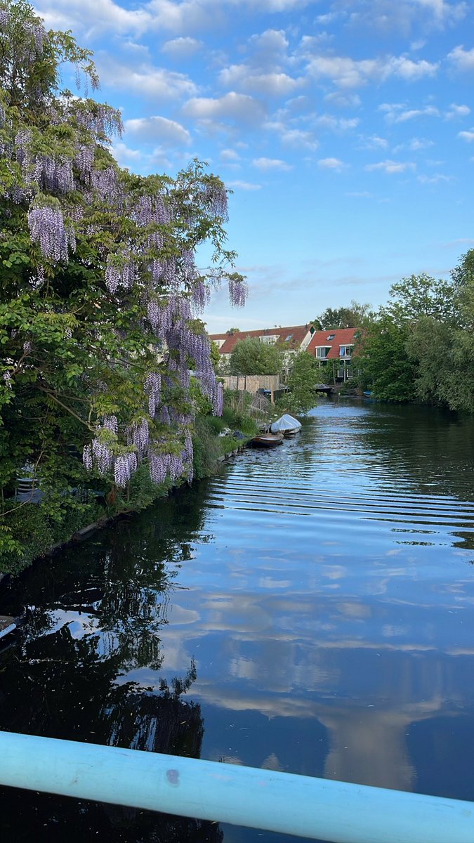 FranKiisko's tweet photo. La primavera arriba quan apareixen els tons violeta 🌿 https://t.co/vBN5X62e57