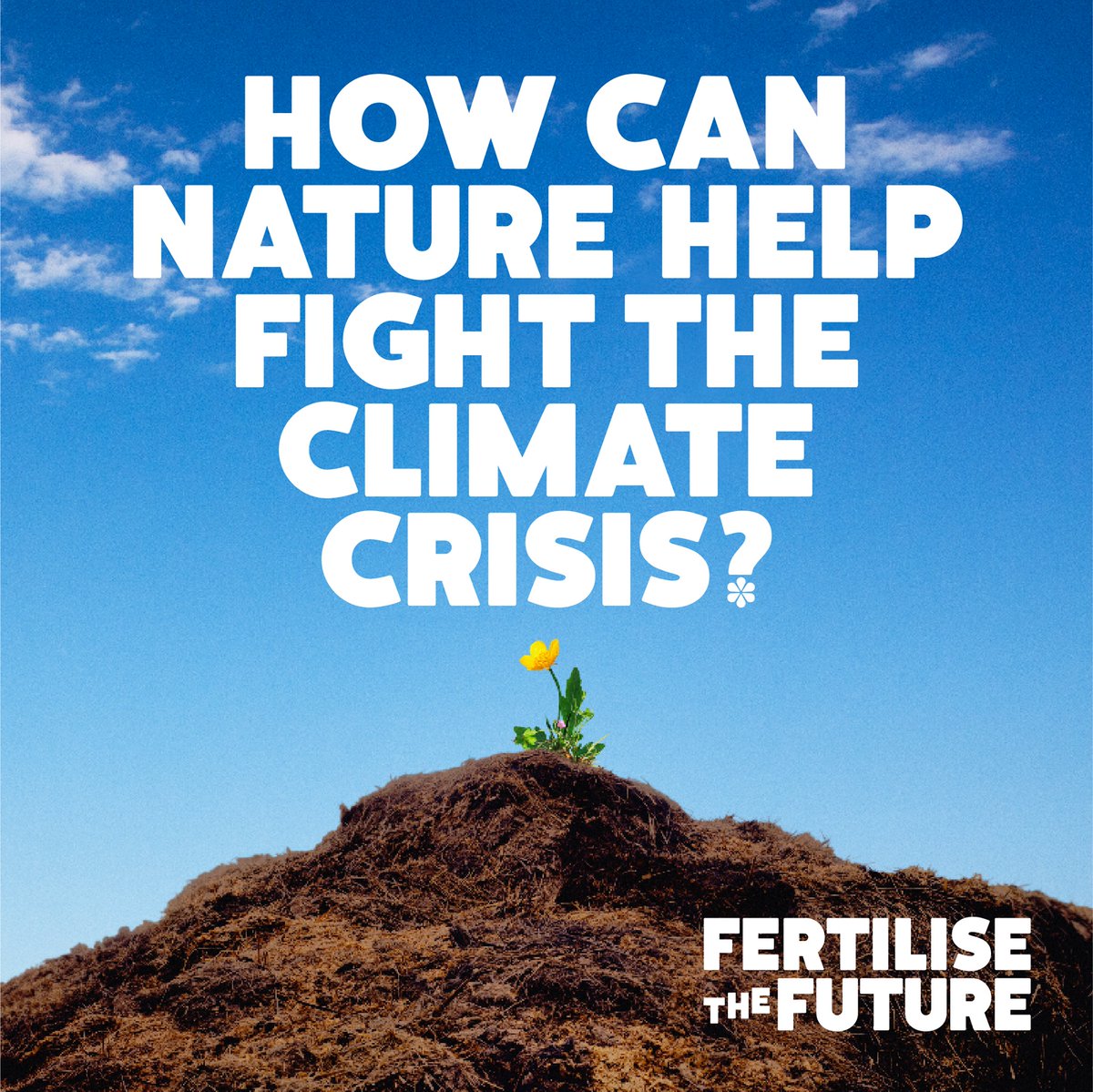 JustHelpers1's tweet image. Today is the International Day of Light, we can celebrate the way light helps us in all aspects of our lives including sustainability.  If the lightbulb has gone off in your head to be more #EcoConscience, visit @EcoverUK for more information!
#CleaningService #EthicalBusiness