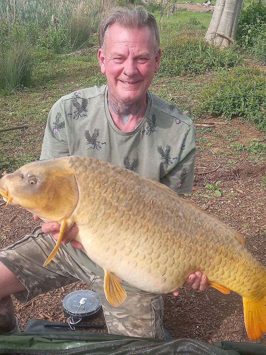 Galaxy Baits tweet media