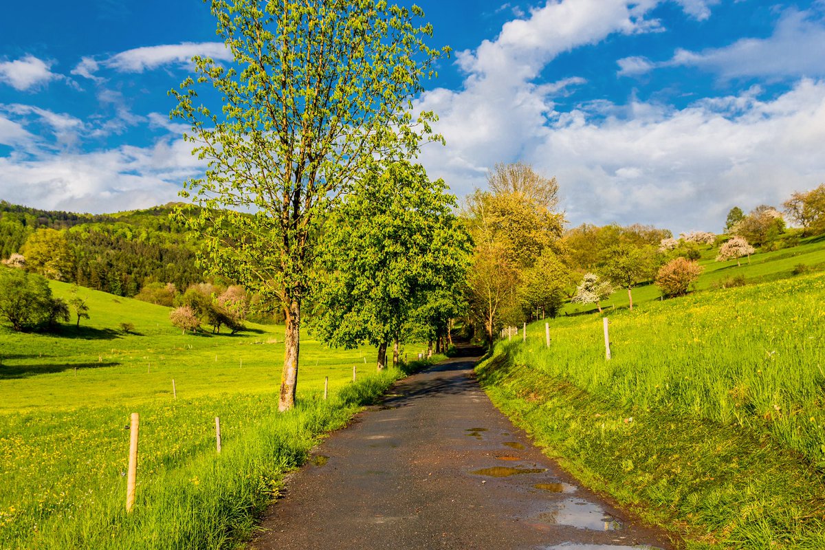oliverhlavaty's tweet photo. 🔸 Regenpause • Neue #Woche, neues Glück! ✨ Und in dem Fall, perfekt die #Regenpause für einen kleinen #Spaziergang vor der Haustüre genutzt! 🌿 Wie war euer #Start in die neue Woche? Auch gut…? 😉 https://t.co/BiEIiyYIEa