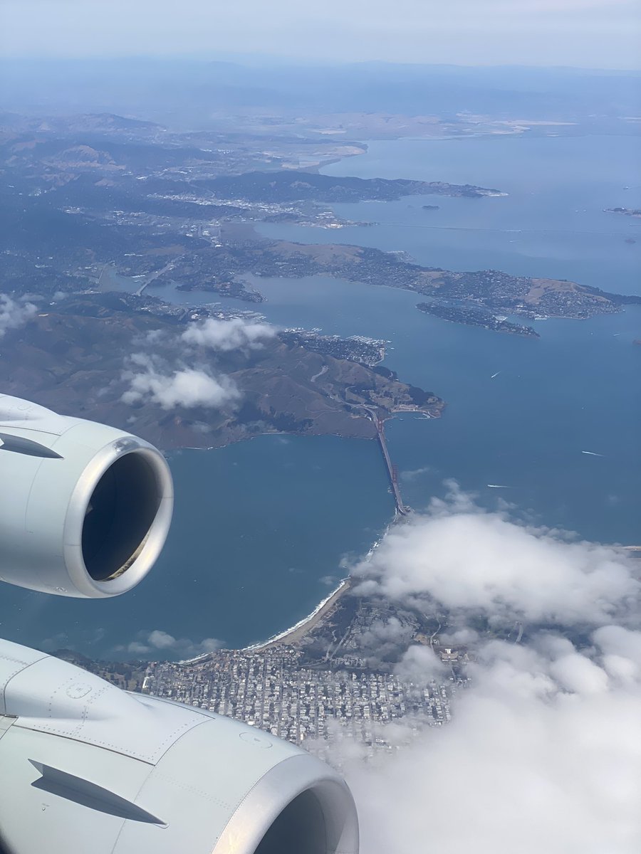 Gunnar Wagenknecht tweet media