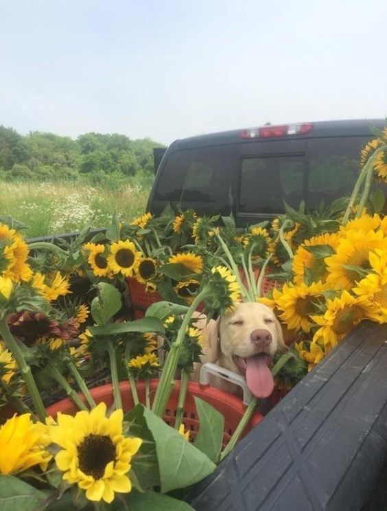 Wannawave (@wannawave) on Twitter photo 