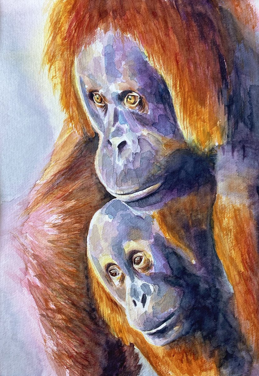 eastyorkgallery's tweet photo. First from our guest artist Sally Hall, Orangutan Love . Original and prints available.
https://t.co/uEKyx8d5sp
#orangutan #ape #borneo #endageredspecies #palmoil #originalarwork #orangutanschool #eastyorkshire #eastyorkshiregallery https://t.co/x4BUMKSME2