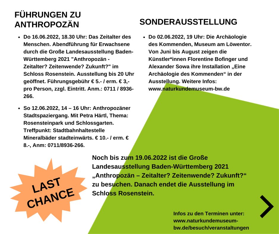 SMNStuttgart's tweet photo. JUNI-Veranstaltungen, #Wisssenschaftsfestival, Sonntagsführungen, #Kinder- &amp; Ferienprogramm im #MuseumamLöwentor, #SchlossRosenstein UND digital 

Infos > https://t.co/NeQLF6Y6zH

Wir freuen uns auf Euch!

#Ferien #kinderprogramm #veranstaltung #freizeittipp #stuttgart #BaWue https://t.co/wy70NQSEbs