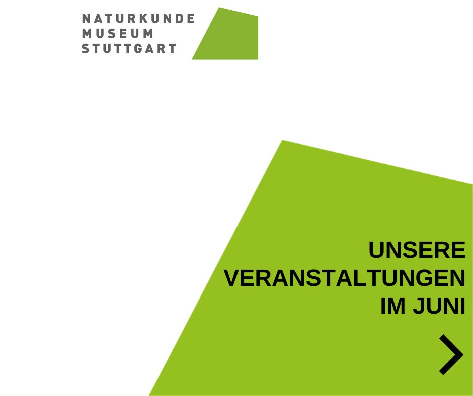 SMNStuttgart's tweet photo. JUNI-Veranstaltungen, #Wisssenschaftsfestival, Sonntagsführungen, #Kinder- &amp; Ferienprogramm im #MuseumamLöwentor, #SchlossRosenstein UND digital 

Infos > https://t.co/NeQLF6Y6zH

Wir freuen uns auf Euch!

#Ferien #kinderprogramm #veranstaltung #freizeittipp #stuttgart #BaWue https://t.co/wy70NQSEbs