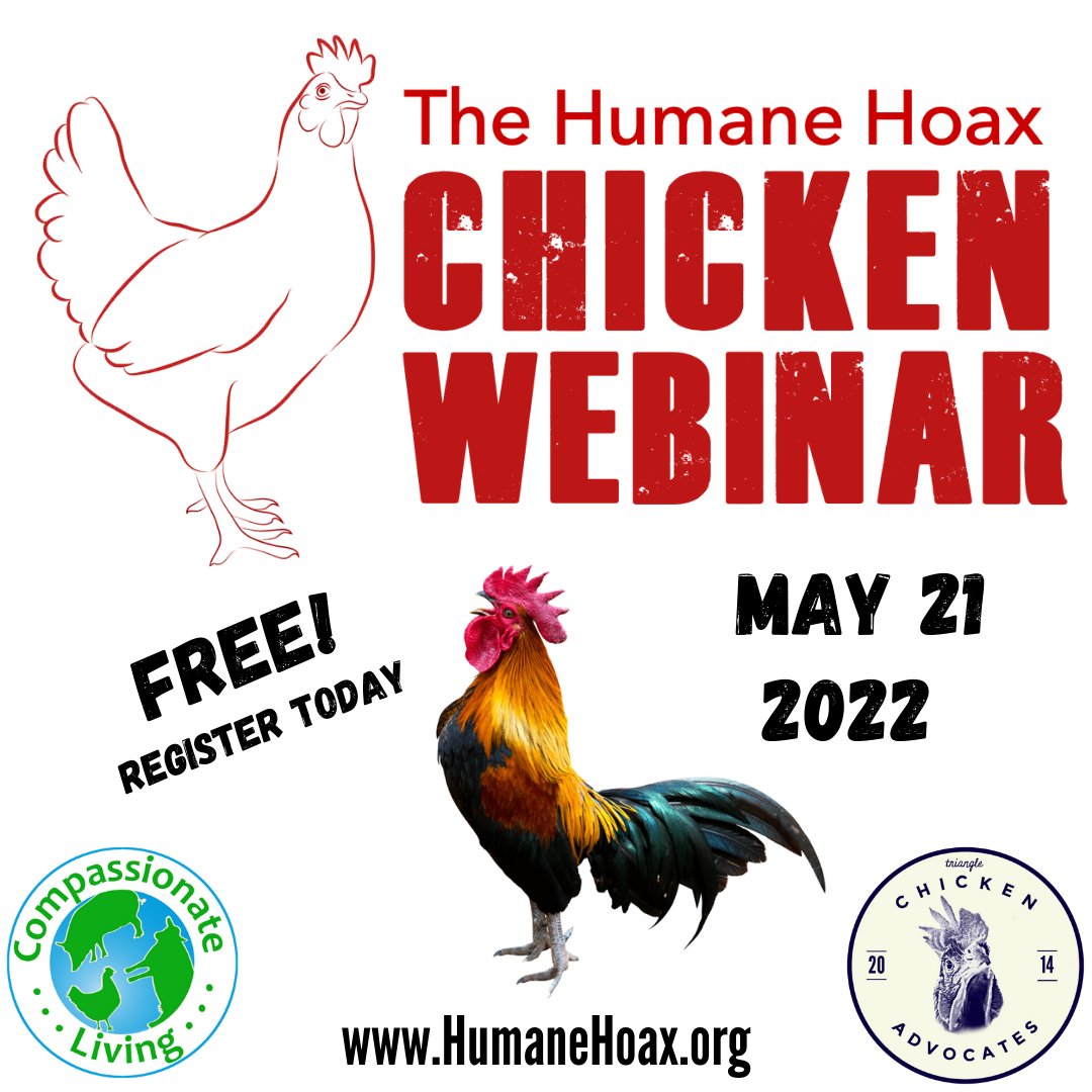 Lantern Publishing & Media tweet media