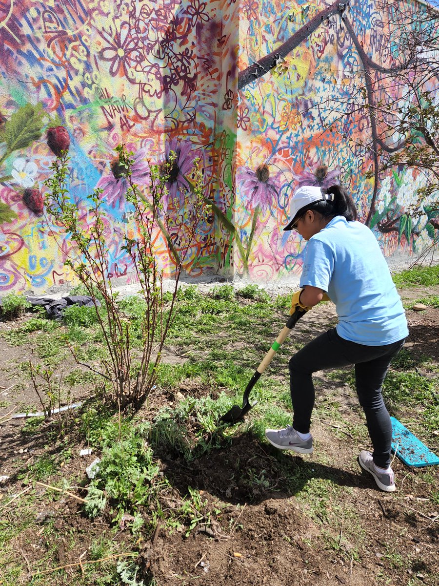 Samanda Brace tweet media