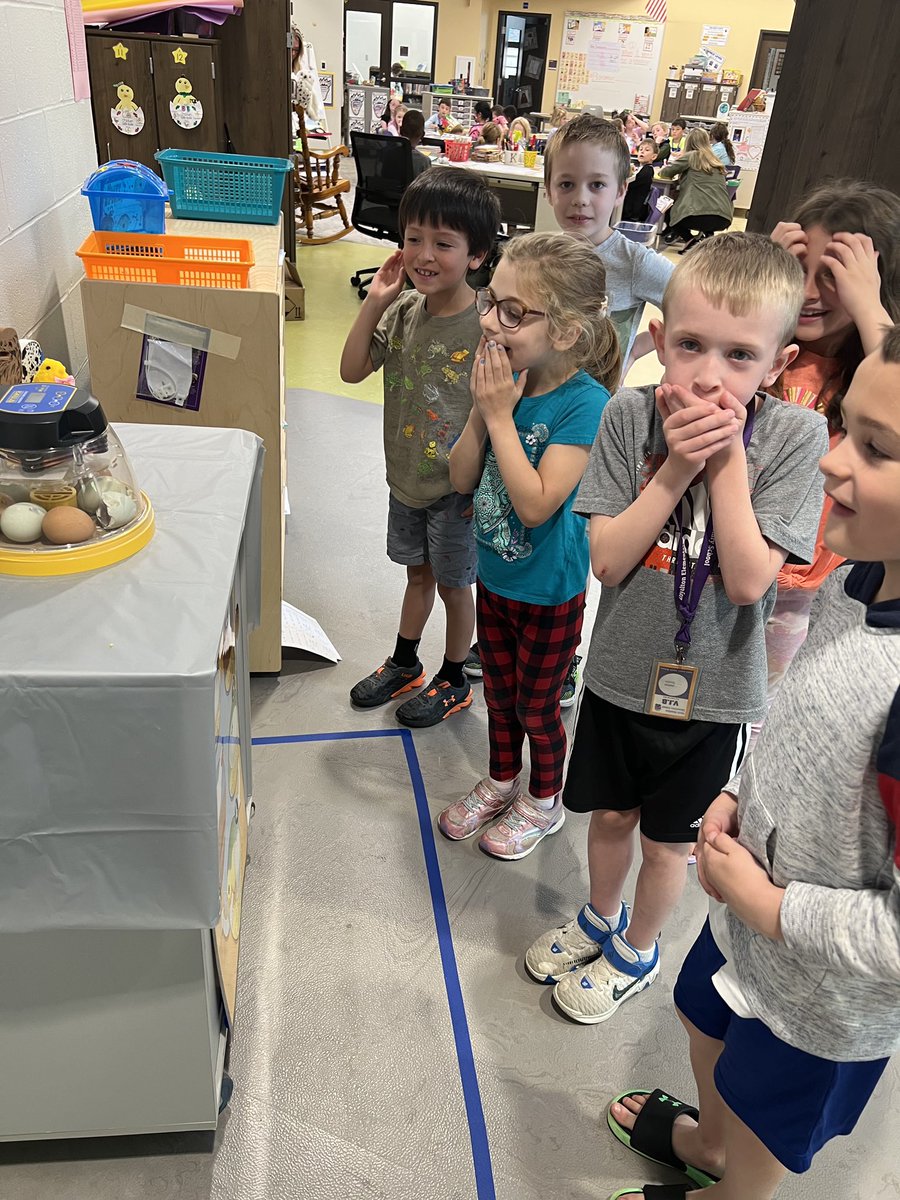 mrsstrickerNR's tweet photo. It’s hatching day!! 🐣#norobears https://t.co/WY0Uibnjuy