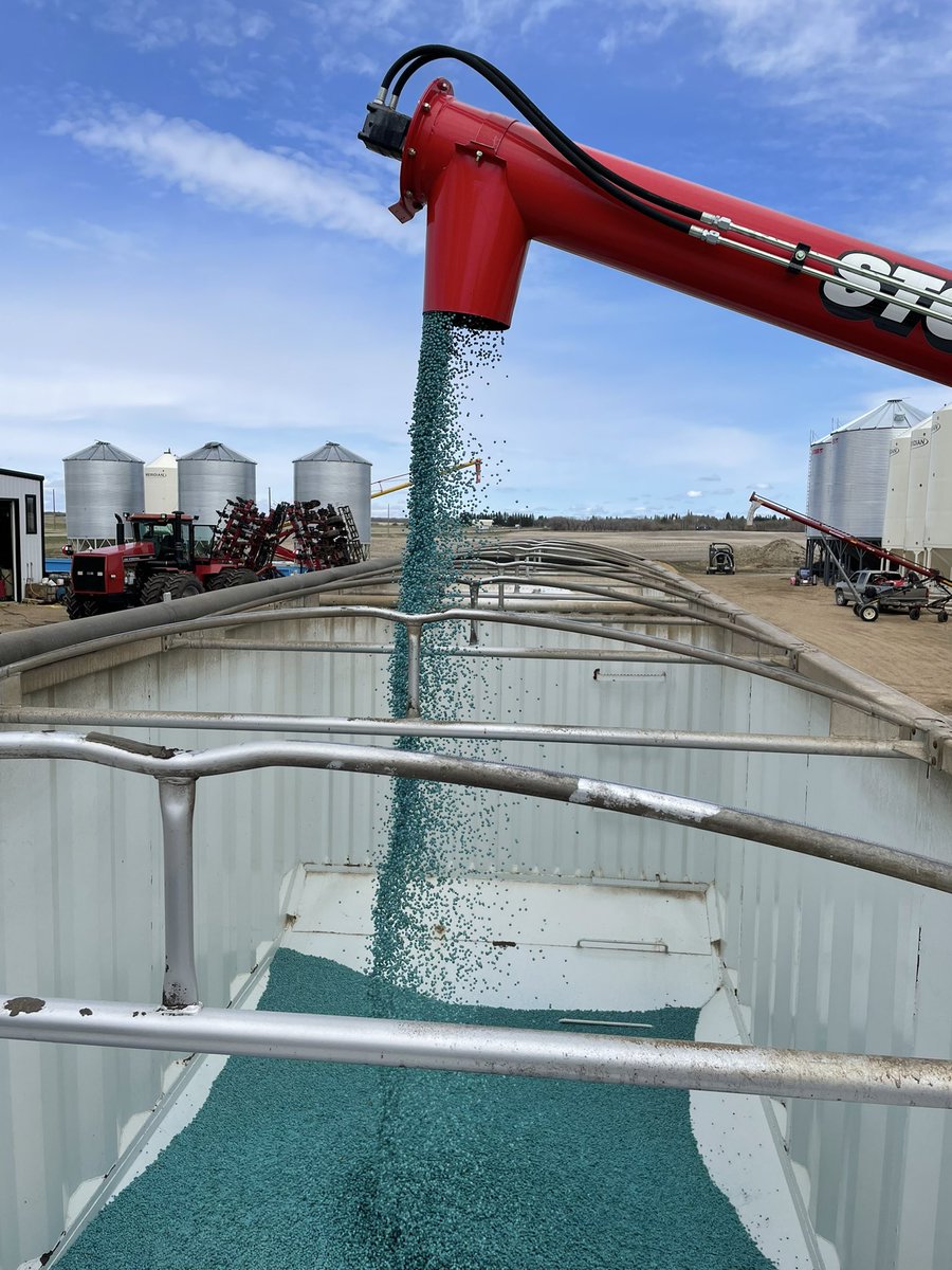 prairiegiants's tweet photo. Beautiful day to treat some #Abarth peas with #TrilexEvergol @FPGenetics  @Bayer4CropsCA Have a safe and happy seeding everyone! #GoTime https://t.co/elBkkVMVat