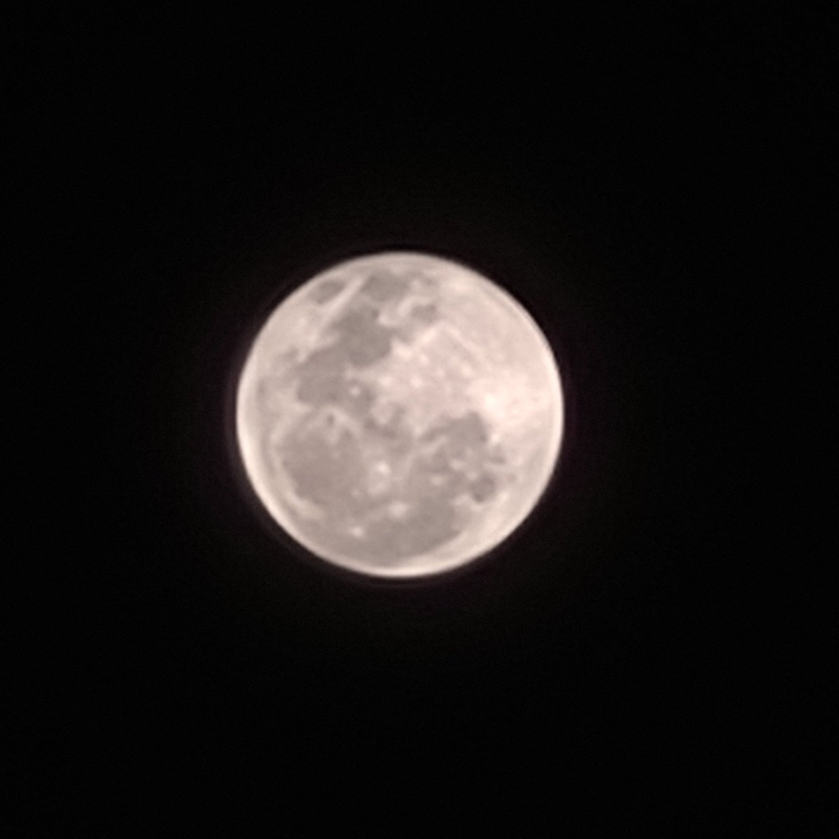 CallictusK's tweet image. “The moon is beautiful, isn&apos;t it?”