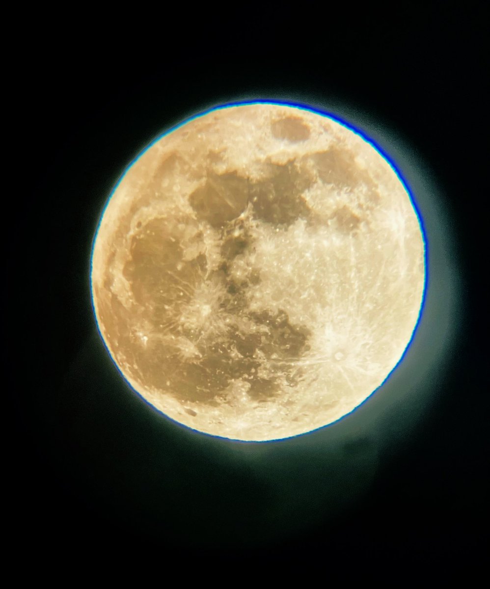 ashleevallad's tweet photo. Last night🌻🌕 https://t.co/w7GKDUSlVH