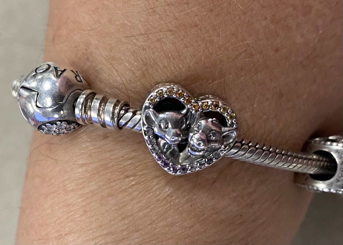 NatashaML's tweet photo. It’s Walt Disney Worlds 50th Anniversary.   Thanks Disney for bringing Lion King to me, &amp; thanks @PANDORA_NA for making this awesome charm.  Thanks to my babe for the gift.
#celebrateyourmagicsweepstakes https://t.co/Z4RyFerxak