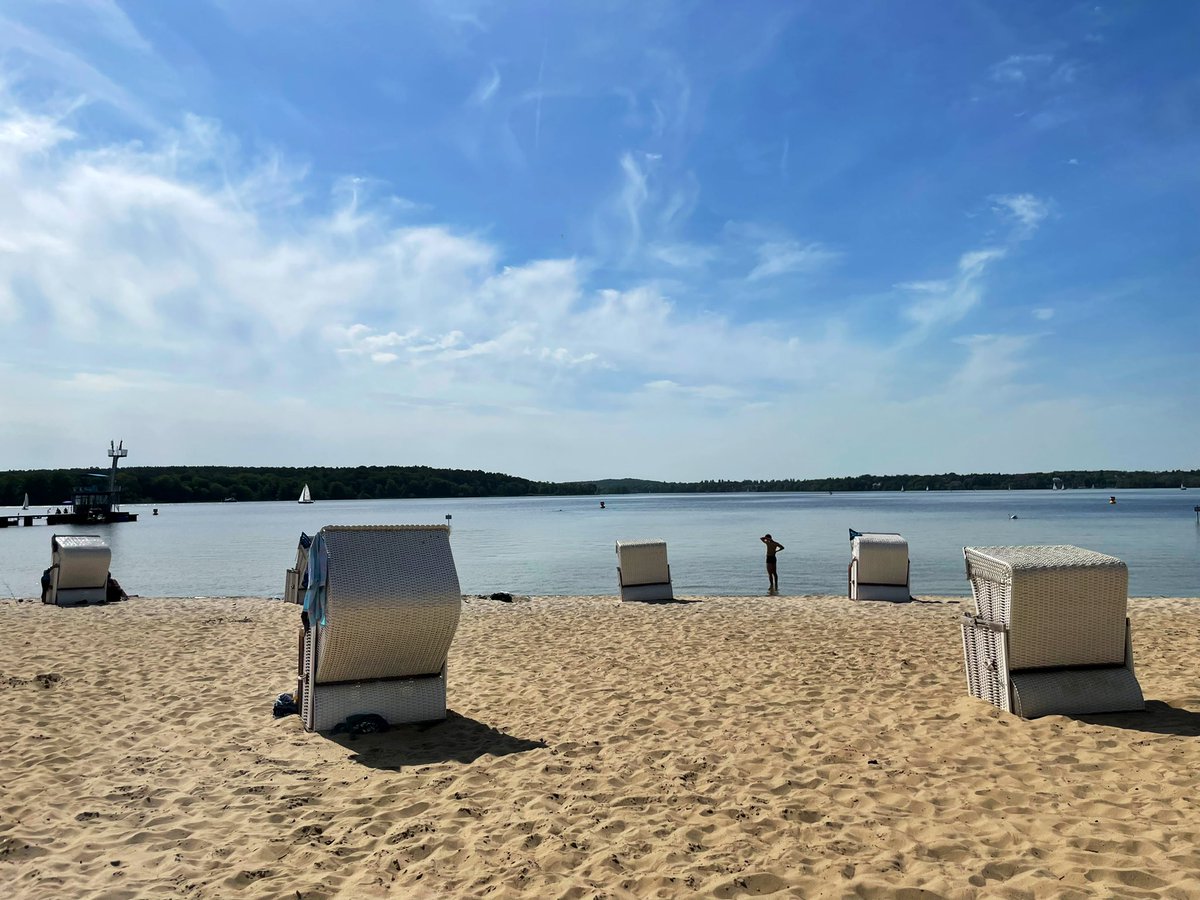 Daisy Goddard tweet media