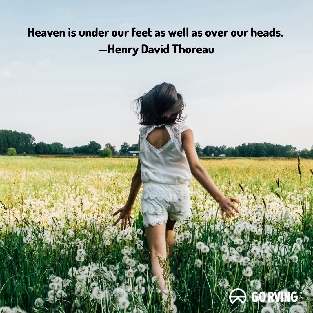 GoRVing's tweet photo. Have a great day RVers and enjoy the beauty of the outdoors! 

#GORVING #MotivationMonday https://t.co/UgODLPlYBH