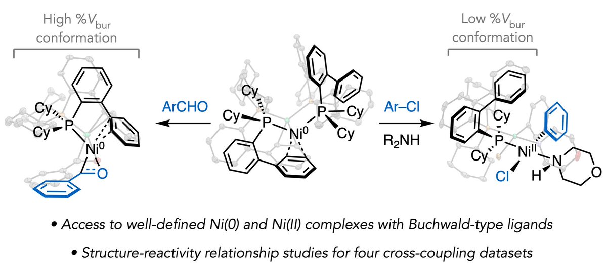 Excited to share our preprint <a href="/ChemRxiv/">ChemRxiv</a> on the structure-reactivity relationships of Buchwald-type phosphines in Ni catalysis! <a href="/PrincetonChem/">Princeton Chemistry</a> <a href="/uclachem/">UCLA Chem & Biochem</a> doi.org/10.26434/chemr…