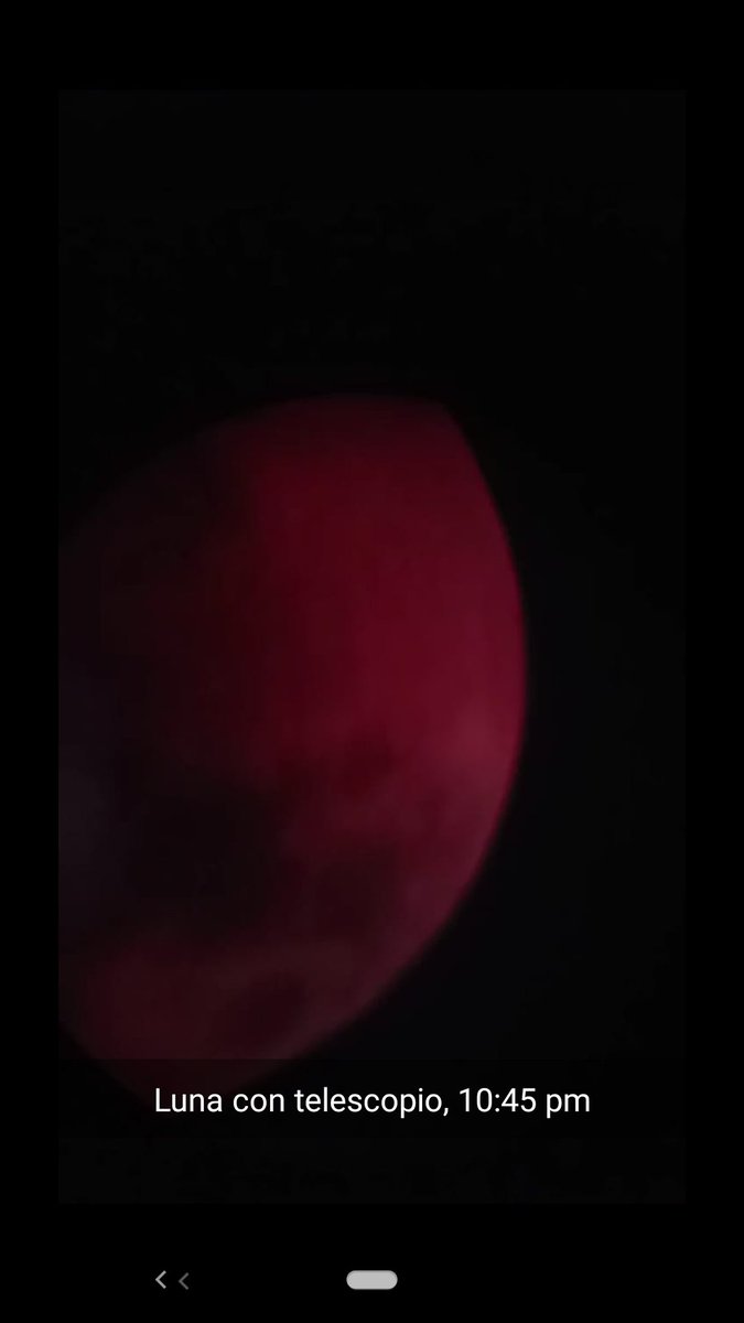 Rosa Miranda tweet media