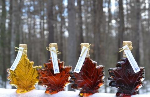 MapleURI1's tweet photo. You might be surprised to learn that not all maple syrup is the common brown color that it is usually associated with. The colors of maple syrup range from bright yellows, to deep reds, and dark browns. https://t.co/CiA2Pd0XPl