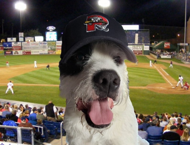 CMorganLuck's tweet photo. Hudson says, "Lets go Sea Dogs!!!"
@PortlandSeaDogs #milb #dogs #Portland #Maine https://t.co/SOBgjosDjn