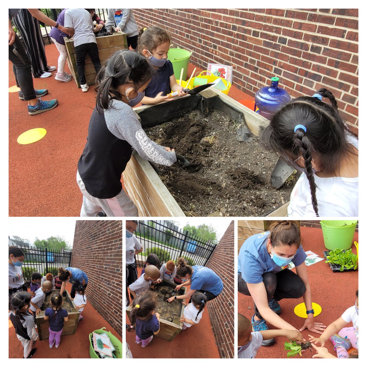 mcdcnj's tweet photo. Thank you @citygreennj Our early learners had an amazing time learning and planting  🥬 in our outdoor garden. #headstart #gardening #headstartforward #enrollnow https://t.co/nJGvtnzDaM https://t.co/WlShdyGtUg
