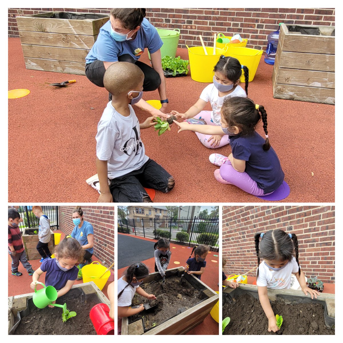 mcdcnj's tweet photo. Thank you @citygreennj Our early learners had an amazing time learning and planting  🥬 in our outdoor garden. #headstart #gardening #headstartforward #enrollnow https://t.co/nJGvtnzDaM https://t.co/WlShdyGtUg