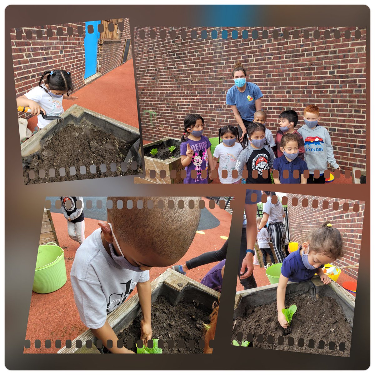 mcdcnj's tweet photo. Thank you @citygreennj Our early learners had an amazing time learning and planting  🥬 in our outdoor garden. #headstart #gardening #headstartforward #enrollnow https://t.co/nJGvtnzDaM https://t.co/WlShdyGtUg