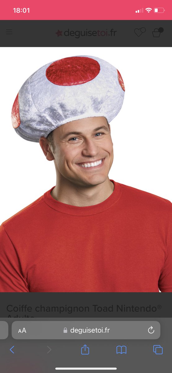 LemaleLml's tweet photo. @memeland Toady hat, it reminds me of the dofus era and its beautiful headgear #memelandtraits https://t.co/LDYfYLJ9tB