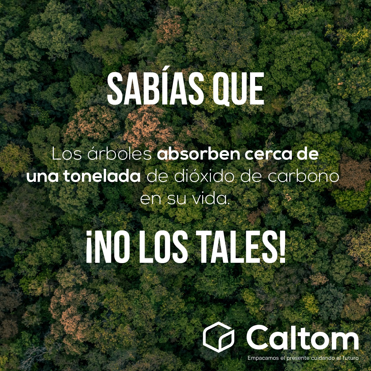 CaltomOfficial's tweet photo. ¿Sabias que? 👀 ¿Lo sabias? https://t.co/pMwoVLkmUp