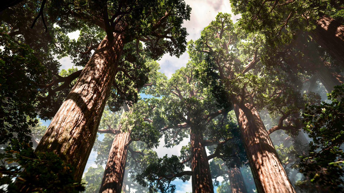 •Tall trees•  
#HorizonForbbidenWest #TPMnature #VirtualPhotography #GamerGram #VGPUnite #TheCapturedCollective #WorldofVP