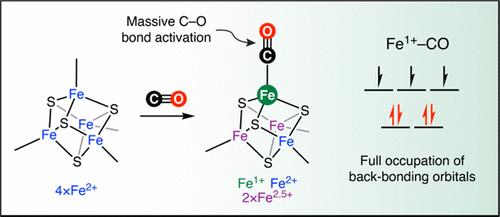 Top Science tweet media