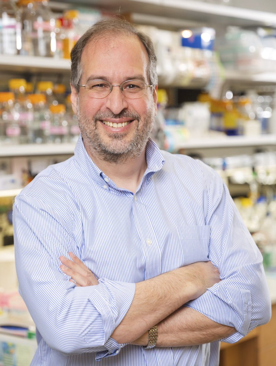 transcriptsblog's tweet image. Dr. Michael Rosen of @UTSWNews and Chair of @biophysics_utsw shares his path towards science and the study of biomolecular condensates: bit.ly/3Li28Oj