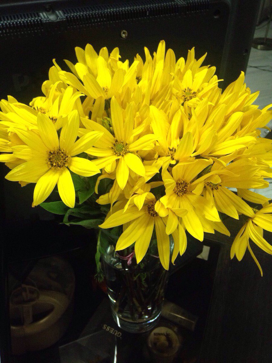 Worldwide Women Club tweet media