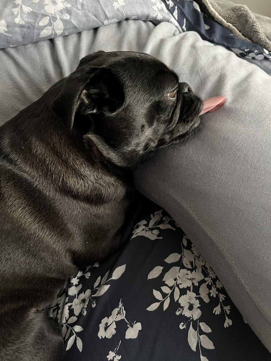 When it’s #Monday and you just want to #sleep #EhlersDanlosSyndrome #arachnoiditis