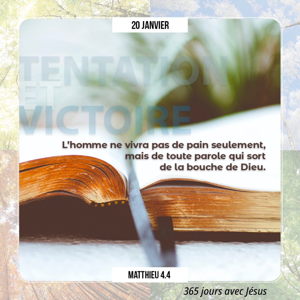PasteurWJoutet's tweet photo. Quand tu lis ta Bible, lis-la pour une qualité de vie et non une quantité de chapitres! Lis-la pour connaître Dieu et ses plans merveilleux, lis-la pour proclamer ses promesses et vivre des paroles qui sortent de la bouche de Dieu! https://t.co/QTMu7lNE5f